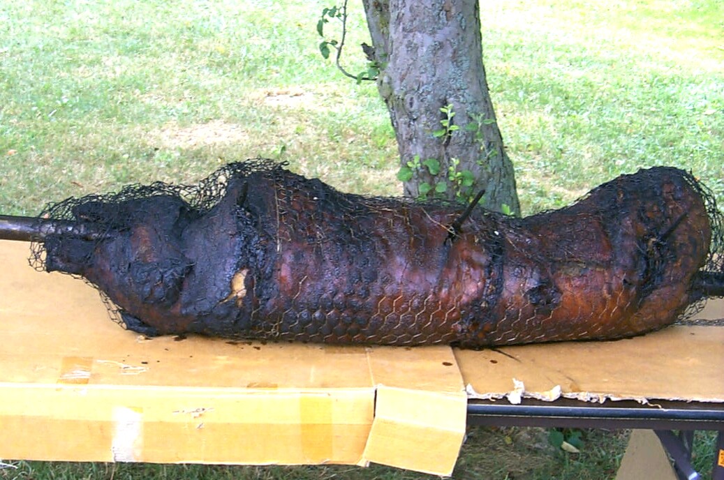 Pig 2.jpg